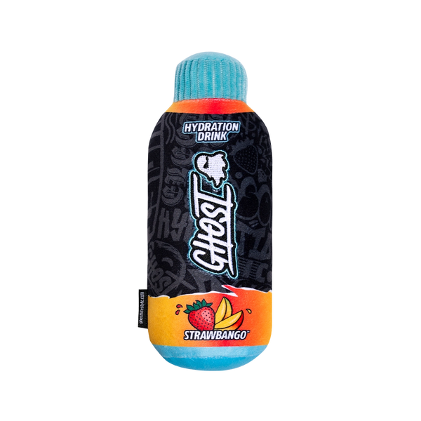 GHOST® HYDRATION DOG TOY | STRAWBANGO™